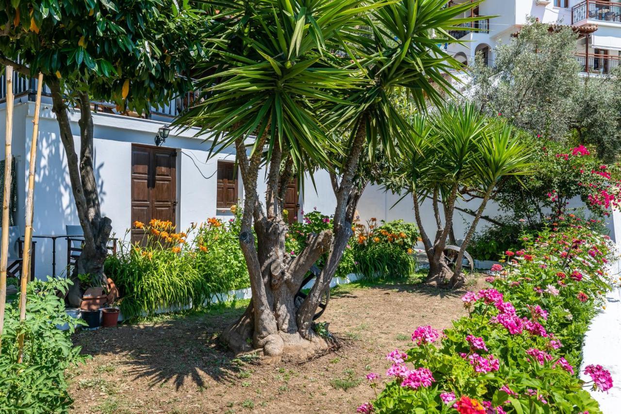 Ourania Apartment Skopelos Town Exterior photo