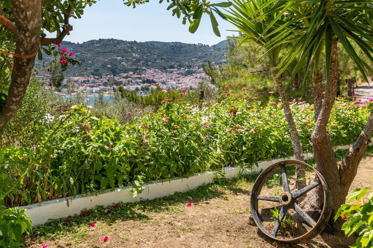Ourania Apartment Skopelos Town Exterior photo